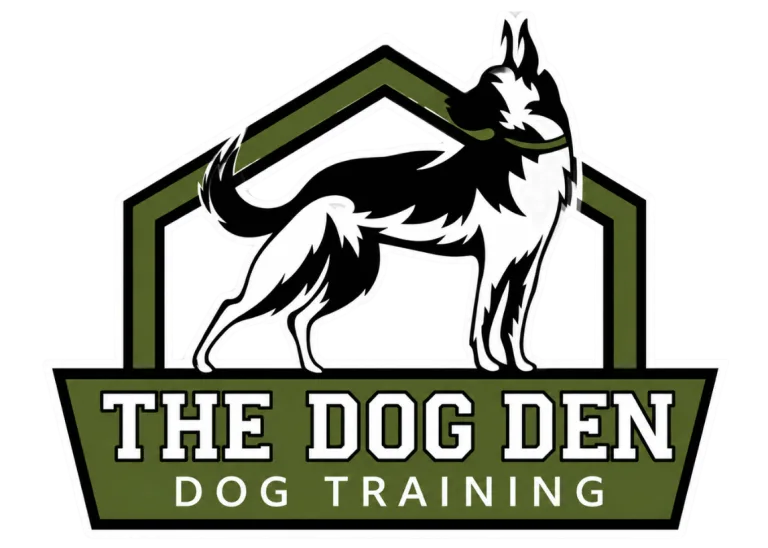 Obedience Training
Puppy Training
Reviews
Contact Us
			
					
					
					
				Obedience Training
Puppy Training
Reviews
Contact Us