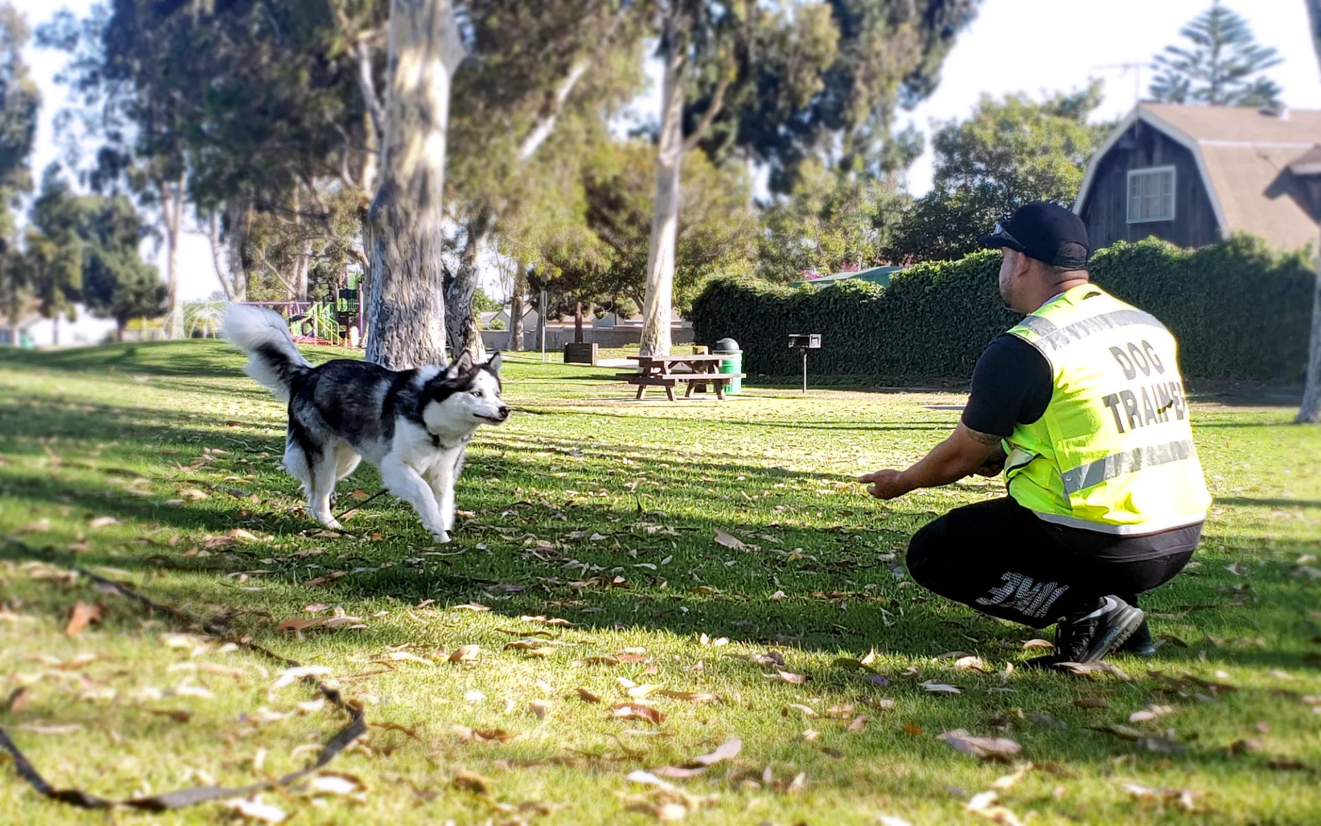 Got Canine Training — dog training in Oxnard, CA (2)