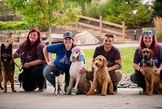 The Dog Wizard — dog training in Oceanside, CA (2)