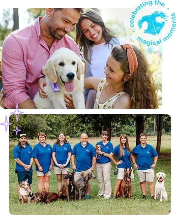 The Dog Wizard — dog training in Oceanside, CA (4)