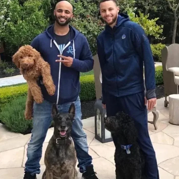 Cali K9 Los Angeles Dog Training — dog training in North Hollywood, CA