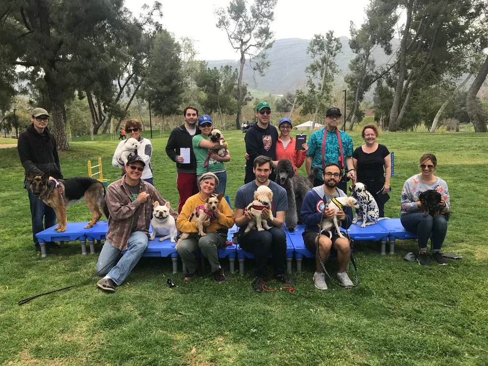 Group of people holding graduation certificates with dogs on a grassy field, some sitting on a blue platform, outdoors in a park with trees and hills in the background.