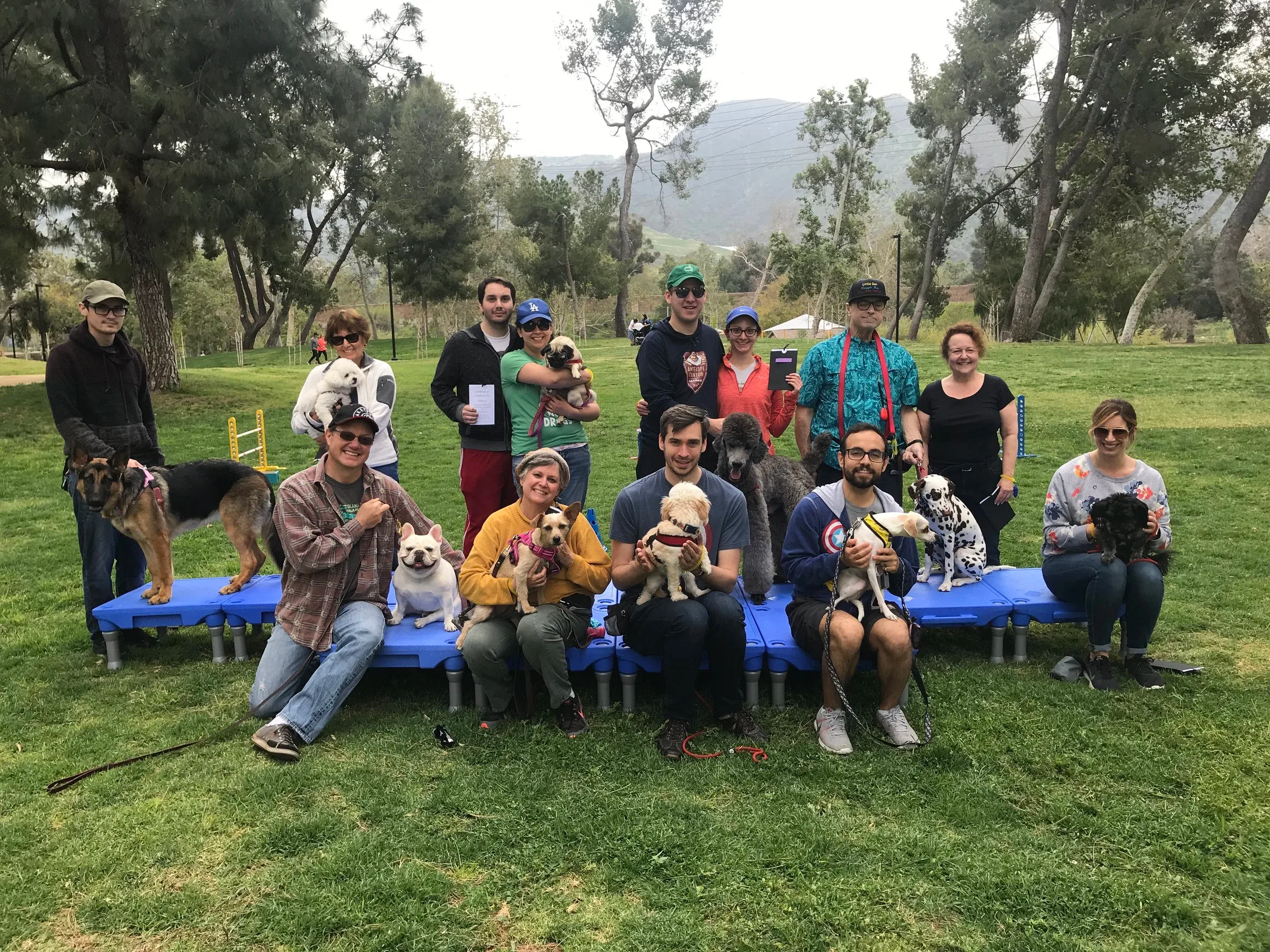 Group of people holding graduation certificates with dogs on a grassy field, some sitting on a blue platform, outdoors in a park with trees and hills in the background.