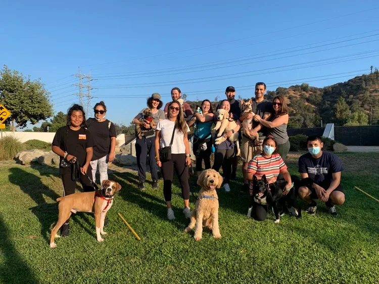 Group of dog owners and their dogs outdoors on grass, smiling for the camera on a sunny day with hills and power lines in the background. They have completed their dog training classes.