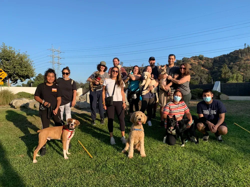 Group of dog owners and their dogs outdoors on grass, smiling for the camera on a sunny day with hills and power lines in the background. They have completed their dog training classes.
