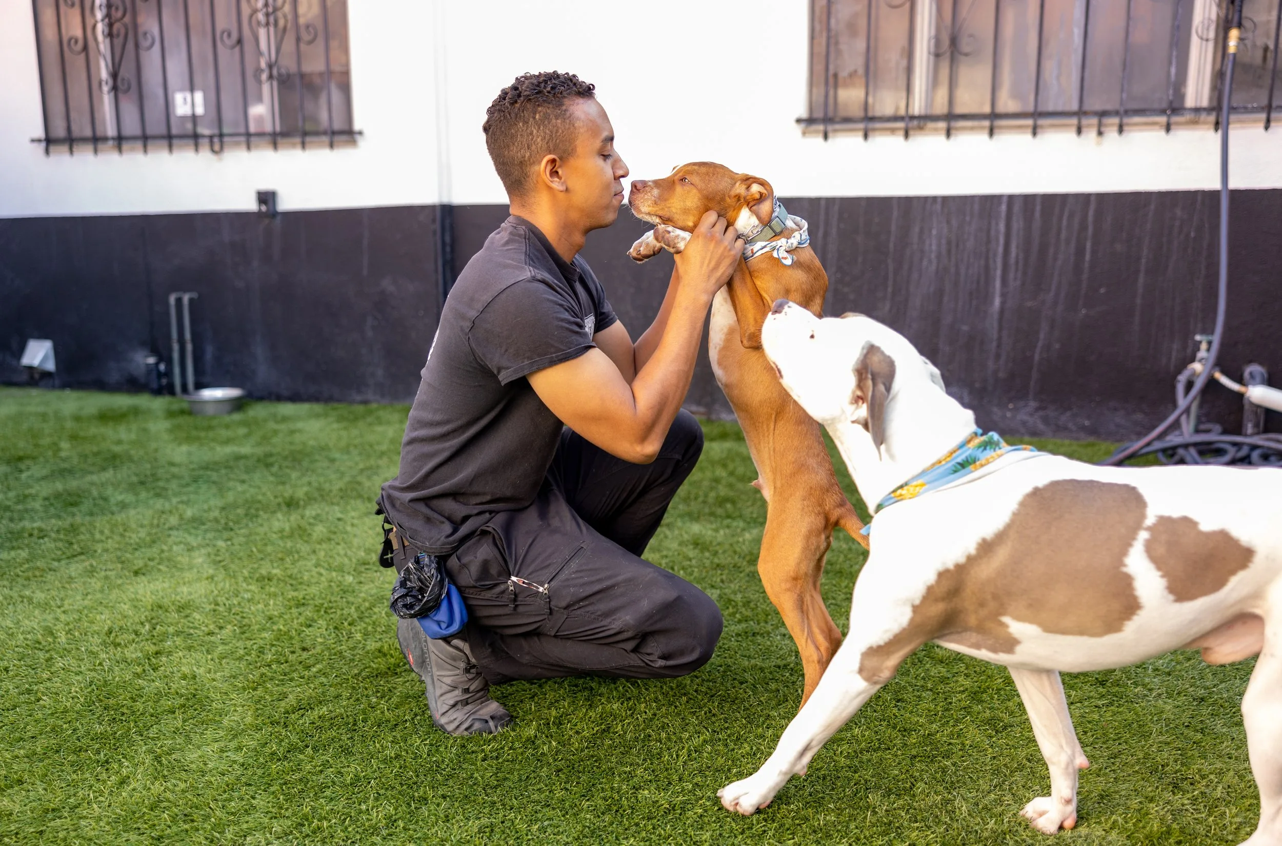 Training Philosophy

	
		At Canine School of Behavior, we believe that the best training starts with the clearest possible communication. Our team is equipped with precision timing and a plethora of techniques to create a positive foundation for building reflective obedience. From there we teach each owner the handler tools to be able to maintain and reinforce the training that we have done.
	




See More