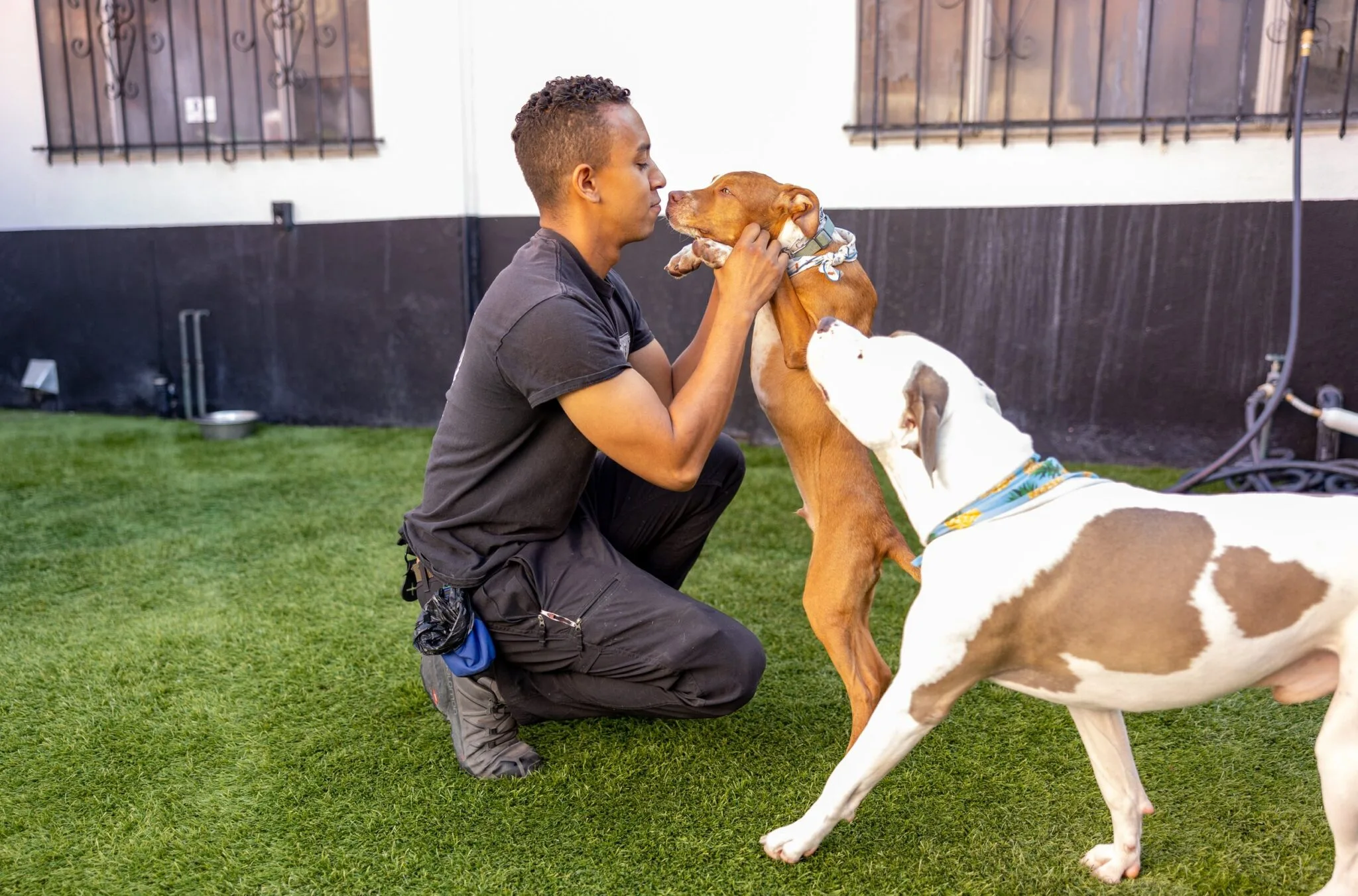 Training Philosophy

	
		At Canine School of Behavior, we believe that the best training starts with the clearest possible communication. Our team is equipped with precision timing and a plethora of techniques to create a positive foundation for building reflective obedience. From there we teach each owner the handler tools to be able to maintain and reinforce the training that we have done.
	




See More