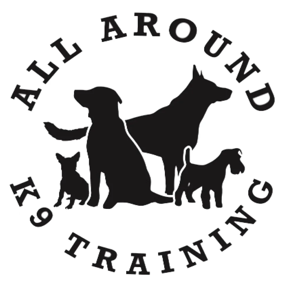 Home
About Us

	Success Stories


Our Programs

	Board and Train Dog Training in San Antonio, TX
	Day Training in San Antonio, TX
	Puppy Training in San Antonio, TX


Training Videos
Contact Us

	Careers


			
					
					
					
				Home
About Us

	Success Stories


Our Programs

	Board and Train Dog Training in San Antonio, TX
	Day Training in San Antonio, TX
	Puppy Training in San Antonio, TX


Training Videos
Contact Us

	Careers