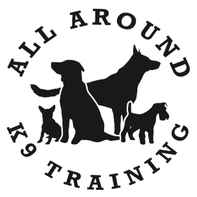Home
About Us

	Success Stories


Our Programs

	Board and Train Dog Training in San Antonio, TX
	Day Training in San Antonio, TX
	Puppy Training in San Antonio, TX


Training Videos
Contact Us

	Careers


			
					
					
					
				Home
About Us

	Success Stories


Our Programs

	Board and Train Dog Training in San Antonio, TX
	Day Training in San Antonio, TX
	Puppy Training in San Antonio, TX


Training Videos
Contact Us

	Careers