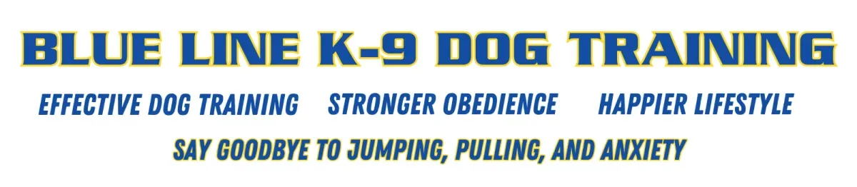 blue line k 9 dog training, dog and puppy training classes, training classes for dogs