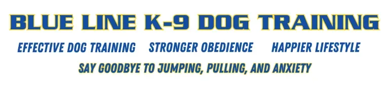 blue line k 9 dog training, dog and puppy training classes, training classes for dogs