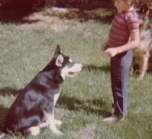 Thriving Canine — dog training in Morgan Hill, CA (4)