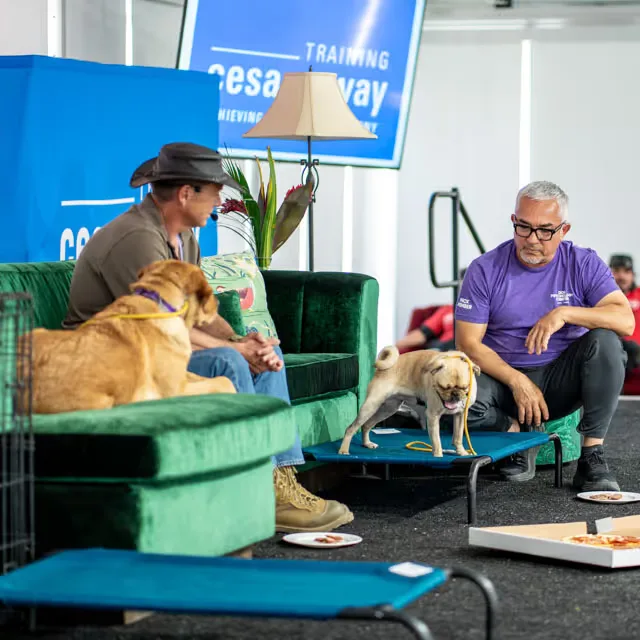 Cesar Millan with a dog