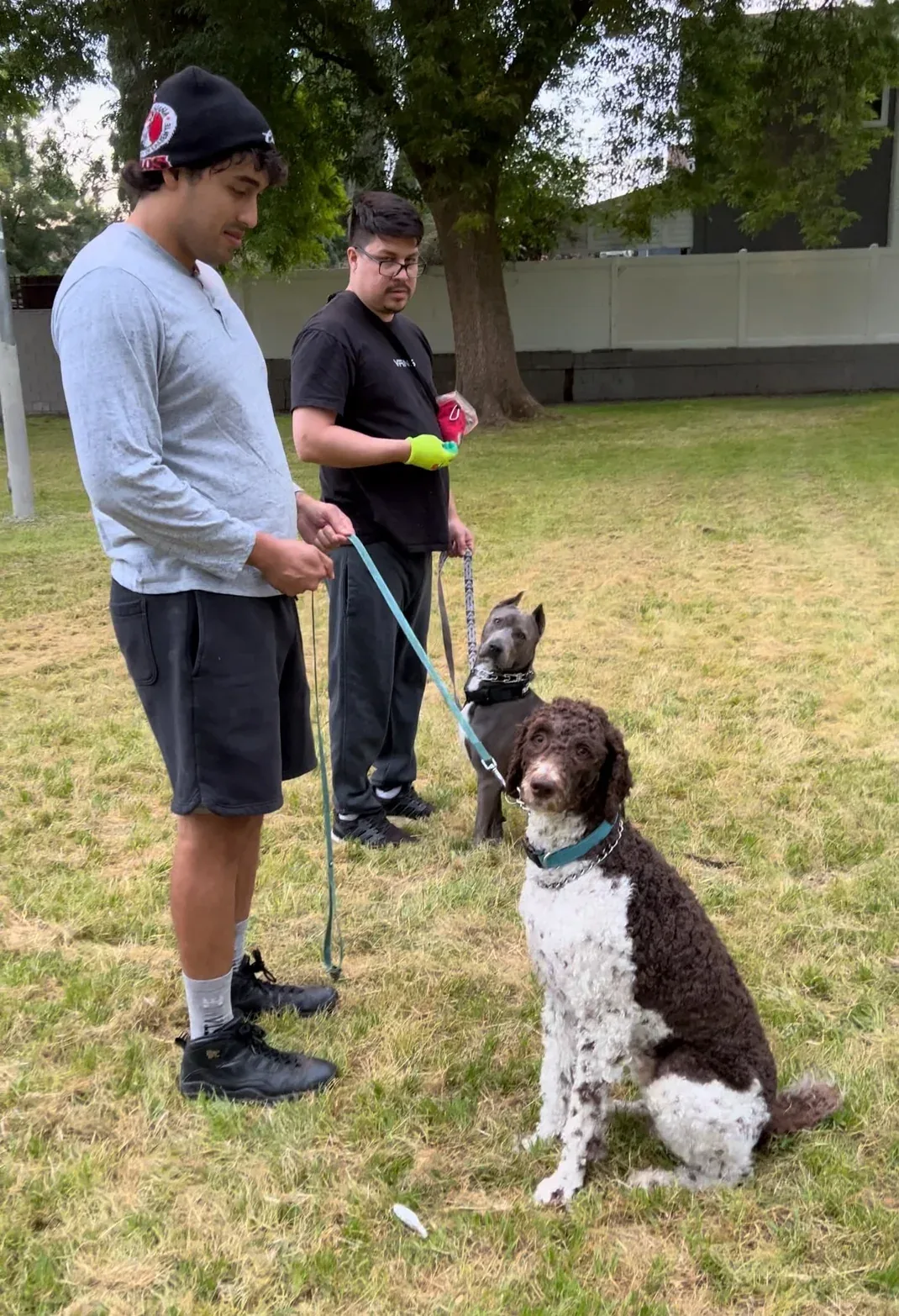 Active Canine Academy — dog training in Riverside, CA (3)