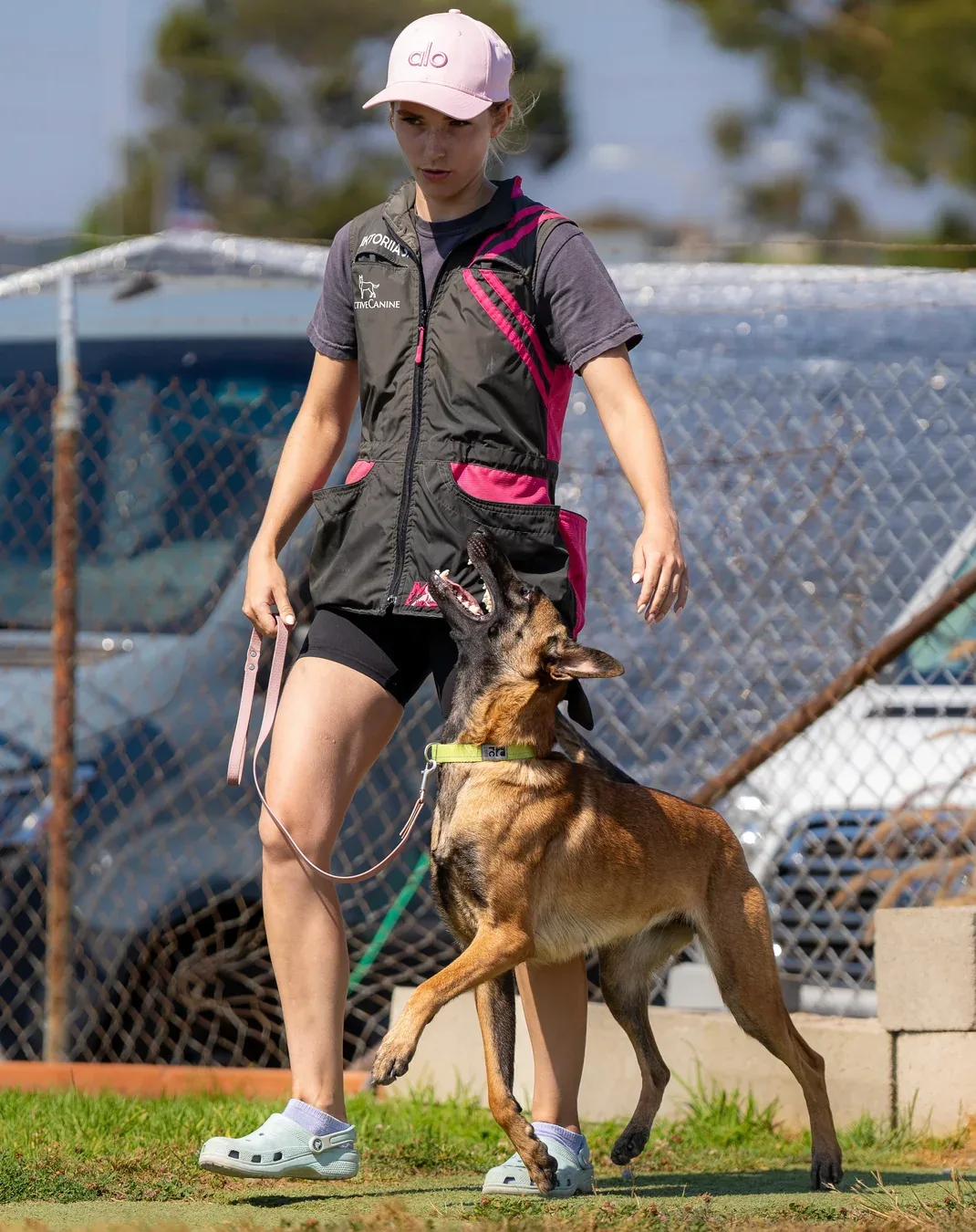 Active Canine Academy — dog training in Riverside, CA (2)