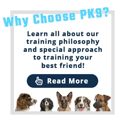 Schedule Your Free Consultation Call Today!Let’s Get Started!Performance K9 Training is a boutique dog training and boarding facility located in a country oasis. Our comprehensive training program helps pet parents achieve the perfect pet relationship. Performance K9 Training was founded by David Greene who has represented the United States on four world teams with his dogs, placing third and ninth in the world.
Understanding that each dog has their own unique personality, Performance K9 Training tailors the right “board and train” program to address specific behavioral issues. The most common “wish list” items that pet parents want for their dogs include the following:

   Better house manners
   Control when walking their dog (no more leash pulling)
   Impulse control to address dog aggression
   Recall improvement
   Dog jumping cessation

And more…
Performance K9 Training provides pets with a custom-tailored approach to behavior modification programs to address their specific needs. Following a “board and train” program, Performance K9 Training teaches pet owners the tools they need to build the perfect pet relationship. In addition to training, Performance K9 Training offers boarding for dogs not requiring training with top-shelf accommodations that offer comfort, fun, and safety in mind.
Meet David Greene, our award-winning trainer, and get a glimpse of our new boarding facility!
Our Specialities
BoardingBoarding
Performance K9 Training & Boarding is a boutique facility nestled in a country oasis in San Diego North County. For those most discerning pet parents wanting only the best for their four-legged family members, many are delighted to learn about this unique fully fenced, one-acre property which …
Read More
Aggression RehabilitionAggression Rehabilition
When you have a dog with aggression issues towards other pets and/or people, it can create a very stressful situation. For example, a relaxing walk in the park can quickly take a turn for the worse when leash aggression involving barking, lunging, and snapping begins. When this happens, many pet parents don’t know where …
Read More
Basic Behavior ModificationBasic Behavior Modification
At Performance K9 Training, we believe that most behavioral issues can be resolved with a solid foundation of obedience training. In achieving pet parent satisfaction, our founder, David Greene, crafted a comprehensive 2-week board and train program that addresses common dog challenges …
Read More
Advanced Behavior ModificationAdvanced Behavior Modification
Lasting three or four weeks, the Advanced Behavior Modification Program is also a board and train program. It addresses nearly the same issues as the Basic program, but the training is more polished because the dogs dogs spend more time with our trainers, David or Josh. The following …
Read More
Yappy Puppy ProgramYappy Puppy Program
Because our board and train program is tailored for dogs five months and older,  we created a unique platform named the Yappy Puppy Program. For those wanting a board and train, but their pups are too young to start, our Yappy Puppy Program bridges that gap with two private lessons before the official board and train …
Read More
Having a 'ruff' time with your best pal?Let us help!
Our training experts are here to assist you in all of your pup’s needs from boarding to puppy training to advanced aggression rehabilitation. At PK9, we believe in training pets and pet owners alike in order maximize each graduates’ potential for long-term success! Click below to get started and set up a free consult and tour.
Speak!
eBook Download: How to Choose the Right Dog
Sign up for our newsletter today, and receive a FREE copy of our How to Choose the Right Dog eBook. Inside is valuable information covering the following topics:

Why lifestyle matters when choosing a dog
Take an online breed selector quiz
Understanding the genetics of a breed
Finding a breeder in good standing
Navigating the world of pet adoption