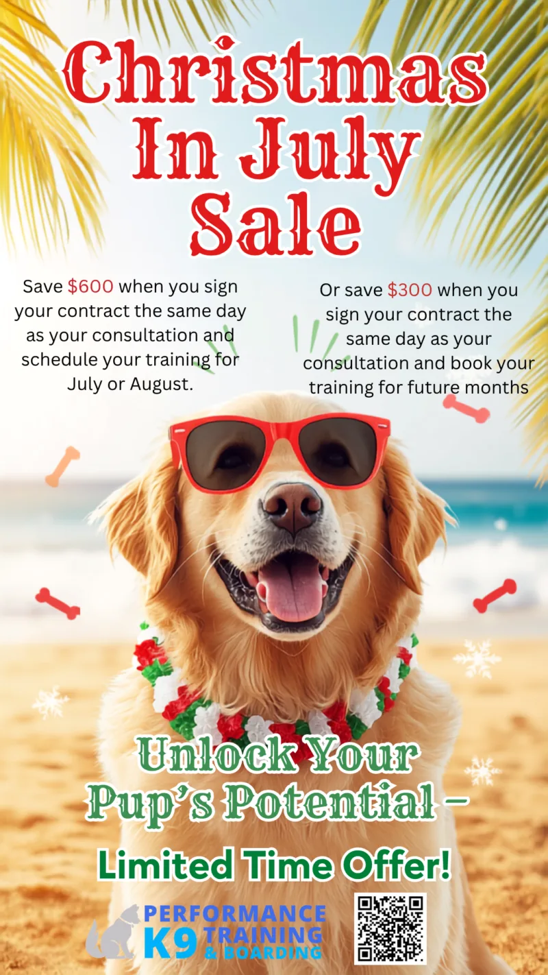 Schedule Your Free Consultation Call Today!Let’s Get Started!Performance K9 Training is a boutique dog training and boarding facility located in a country oasis. Our comprehensive training program helps pet parents achieve the perfect pet relationship. Performance K9 Training was founded by David Greene who has represented the United States on four world teams with his dogs, placing third and ninth in the world.
Understanding that each dog has their own unique personality, Performance K9 Training tailors the right “board and train” program to address specific behavioral issues. The most common “wish list” items that pet parents want for their dogs include the following:

   Better house manners
   Control when walking their dog (no more leash pulling)
   Impulse control to address dog aggression
   Recall improvement
   Dog jumping cessation

And more…
Performance K9 Training provides pets with a custom-tailored approach to behavior modification programs to address their specific needs. Following a “board and train” program, Performance K9 Training teaches pet owners the tools they need to build the perfect pet relationship. In addition to training, Performance K9 Training offers boarding for dogs not requiring training with top-shelf accommodations that offer comfort, fun, and safety in mind.
Meet David Greene, our award-winning trainer, and get a glimpse of our new boarding facility!
Our Specialities
BoardingBoarding
Performance K9 Training & Boarding is a boutique facility nestled in a country oasis in San Diego North County. For those most discerning pet parents wanting only the best for their four-legged family members, many are delighted to learn about this unique fully fenced, one-acre property which …
Read More
Aggression RehabilitionAggression Rehabilition
When you have a dog with aggression issues towards other pets and/or people, it can create a very stressful situation. For example, a relaxing walk in the park can quickly take a turn for the worse when leash aggression involving barking, lunging, and snapping begins. When this happens, many pet parents don’t know where …
Read More
Basic Behavior ModificationBasic Behavior Modification
At Performance K9 Training, we believe that most behavioral issues can be resolved with a solid foundation of obedience training. In achieving pet parent satisfaction, our founder, David Greene, crafted a comprehensive 2-week board and train program that addresses common dog challenges …
Read More
Advanced Behavior ModificationAdvanced Behavior Modification
Lasting three or four weeks, the Advanced Behavior Modification Program is also a board and train program. It addresses nearly the same issues as the Basic program, but the training is more polished because the dogs dogs spend more time with our trainers, David or Josh. The following …
Read More
Yappy Puppy ProgramYappy Puppy Program
Because our board and train program is tailored for dogs five months and older,  we created a unique platform named the Yappy Puppy Program. For those wanting a board and train, but their pups are too young to start, our Yappy Puppy Program bridges that gap with two private lessons before the official board and train …
Read More
Having a 'ruff' time with your best pal?Let us help!
Our training experts are here to assist you in all of your pup’s needs from boarding to puppy training to advanced aggression rehabilitation. At PK9, we believe in training pets and pet owners alike in order maximize each graduates’ potential for long-term success! Click below to get started and set up a free consult and tour.
Speak!
eBook Download: How to Choose the Right Dog
Sign up for our newsletter today, and receive a FREE copy of our How to Choose the Right Dog eBook. Inside is valuable information covering the following topics:

Why lifestyle matters when choosing a dog
Take an online breed selector quiz
Understanding the genetics of a breed
Finding a breeder in good standing
Navigating the world of pet adoption