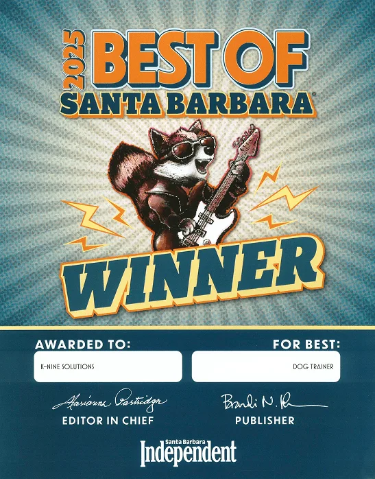 Book a Free ConsultationVoted Best Dog Trainer inSanta BarbaraAt K-Nine Solutions, we’re dedicated to helping you strengthen your bond with your dog.Welcome to K-Nine!ABOUT USCalm Dogs and Confident Owners. Real Training for Real Life.OUR MISSIONWe're a group of dedicated and experienced trainers who believe in continuous growth as a team and as individuals. We strive to empower you with personalized, balanced, and humane training to create a harmonious relationship that lasts a lifetime.Learn MoreOUR VISIONAt K9 Nine Solutions, we train you as much as we train your dog — using our proven Train As You Live approach that builds control and confidence where it actually matters in real-world situations.OUR COMMUNITYVoted Best Dog Trainer in Santa Barbara 9 Years in a RowOUR SERVICESAny dog, any age, any problemPuppiesWe provide the best care and education during your puppy's most formative period.Learn MoreAdult DogsThrough consistent and clear communication, we can create the life we want with our dog.Learn MorePack WalksOur weekly pack walks are a great way to hone your training skills and develop your dog's social awareness.Learn MoreK-Nine Solutions has transformed our 4 year old pup into a confident and well-behaved dog.Lindsey & FrenchieK-Nine CustomersK-Nine Solutions took time to understand both Kaali and I and then specially catered the training program to fit our goals. Thank you!Krista & KaaliK-Nine CustomersThe Knine team is skilled, professional, and warm. I now have a trusted resource for training, boarding, and beyond!Nancy & Louisa VuittonK-Nine CustomersK-Nine Solutions has transformed our 4 year old pup into a confident and well-behaved dog.Lindsey & FrenchieK-Nine CustomersK-Nine Solutions took time to understand both Kaali and I and then specially catered the training program to fit our goals. Thank you!Krista & KaaliK-Nine CustomersThe Knine team is skilled, professional, and warm. I now have a trusted resource for training, boarding, and beyond!Nancy & Louisa VuittonK-Nine CustomersK-Nine Solutions has transformed our 4 year old pup into a confident and well-behaved dog.Lindsey & FrenchieK-Nine CustomersK-Nine Solutions took time to understand both Kaali and I and then specially catered the training program to fit our goals. Thank you!Krista & KaaliK-Nine CustomersThe Knine team is skilled, professional, and warm. I now have a trusted resource for training, boarding, and beyond!Nancy & Louisa VuittonK-Nine CustomersK-Nine Solutions has transformed our 4 year old pup into a confident and well-behaved dog.Lindsey & FrenchieK-Nine CustomersK-Nine Solutions took time to understand both Kaali and I and then specially catered the training program to fit our goals. Thank you!Krista & KaaliK-Nine CustomersThe Knine team is skilled, professional, and warm. I now have a trusted resource for training, boarding, and beyond!Nancy & Louisa VuittonK-Nine CustomersHEALTH & SAFETYYou and your dog’s safety is our priority.Vaccination RequirementsEnsuring that all dogs meet vaccination standards is crucial for protecting their health and others in the training environment.Kennel CoughOur trainers monitor potential kennel cough symptoms closely to prevent any possible spread of illness.Other StepsMaintaining cleanliness helps prevent the spread of illnesses and ensures a healthy space for dogs to learn & interact.Join hundreds of other dog ownersCall us today!DISCOVER MOREAbout UsLearn MoreServicesLearn MoreBookingLearn MoreProudly voted the best dog trainer in Santa Barbara 9 years in a row!Website by © K-Nine Solutions 2026, All Rights ReservedPrivacy PolicyTerms of UseCall Us To BookVisit UsSite MapHome AboutServicesHealth & SafetyBooking