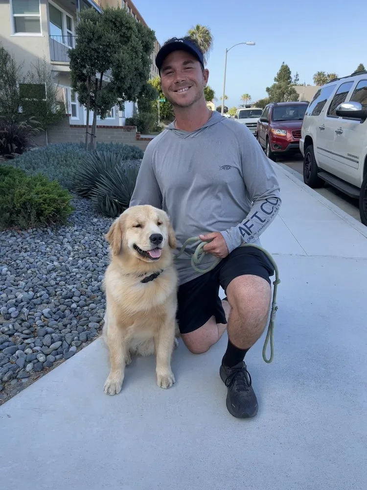 Google Dog Training - Free Zoom Consultation (6)