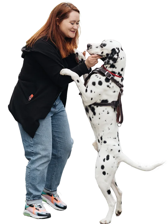 Custom-K9 Bay Area Dog Training & Boarding — dog training in Pacifica, CA (2)