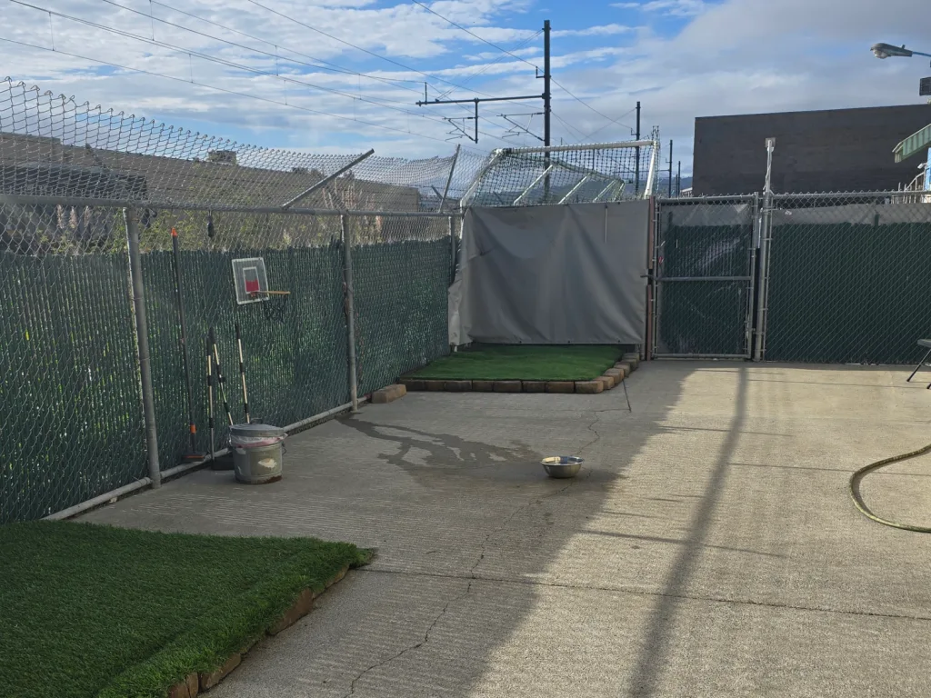 Custom-K9 Bay Area Dog Training & Boarding — dog training in Pacifica, CA