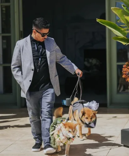 Avid K9 Training — dog training in North Hollywood, CA (3)