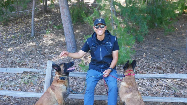 Frustrated orange county Dog Owner?


  


  
  The Dog of Your Dreams is Just One Call Away