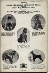 Alamo Dog Obedience Club San Antonio Texas Dog Training