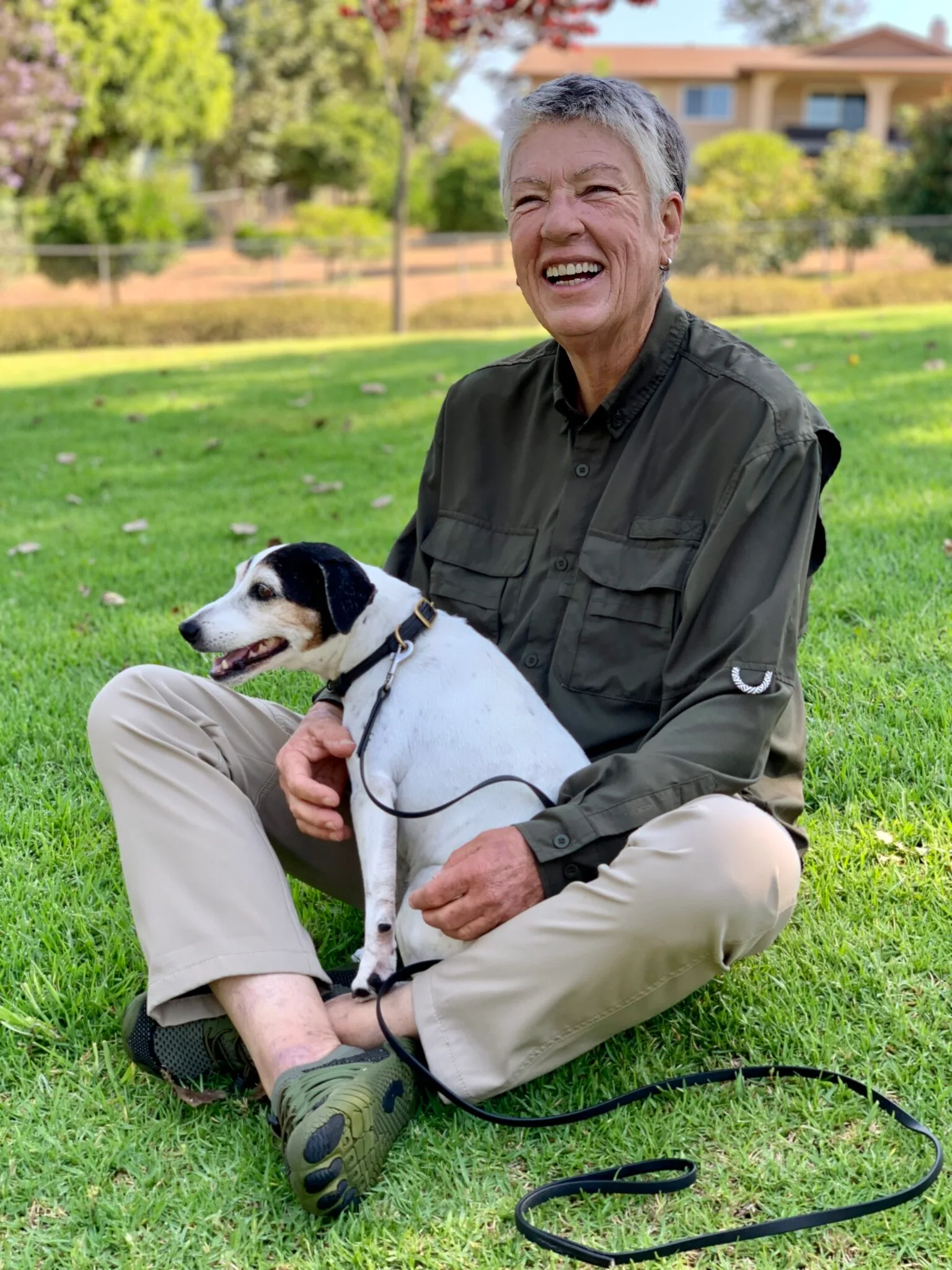 Teaching humans, training dogs.