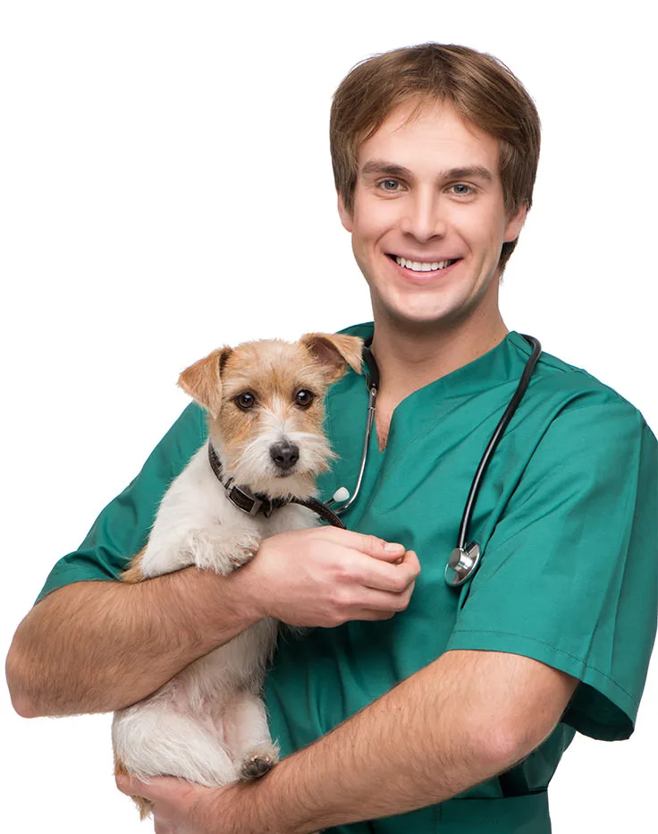 We Care Because You Care
Quisque id leo non dolor tempor elementum quis ac urna. Nam pharetra, ligula eget finibus dignissim, turpis ipsum sollicitudin sem condimentum sagittis. Curabitur metus risus, porttitor vel justo malesuada, semper rhoncus quam. Pellentesque habitant morbi tristique senectus et netus et malesuada fames ac turpis egestas:
Pellentesque vitae ullamcorper nulla
Cras non nunc libero

Vivamus fermentum a sapien id libero
Make An AppointmentOur Treatments
nobonesdog2019-03-05T01:28:35-08:00
				
	

														Jump Start Consultations
			
								
		
								
								
		
						
	


Jump Start ConsultationsWe give you professional training and great results. We worknobonesdog2019-03-05T01:21:57-08:00
				
	

														Dog Training Classes
			
								
		
								
								
		
						
	


Dog Training ClassesOur convenient OPEN ENROLLMENT lets you begin class when younobonesdog2019-03-05T01:16:54-08:00
				
	

														Puppy Training Packages
			
								
		
								
								
		
						
	


Puppy Training Packages First time puppy parent or an old pro? Getnobonesdog2016-11-07T09:27:09-08:00
				
	

														Emergency Care
			
								
		
								
								
		
						
	


Emergency CareQuisque id leo non dolor tempor elementum quis ac urna. Nam pharetra, ligula eget finibus dignissim, turpis ipsum sollicitudin sem, sed vestibulum dui nisi ut purus. Quisque varius odio ante, ac viverra.nobonesdog2016-11-07T09:26:22-08:00
				
	

														Pet Grooming
			
								
		
								
								
		
						
	


Pet GroomingQuisque id leo non dolor tempor elementum quis ac urna. Nam pharetra, ligula eget finibus dignissim, turpis ipsum sollicitudin sem, sed vestibulum dui nisi ut purus. Quisque varius odio ante, ac viverra.nobonesdog2016-11-07T09:25:05-08:00
				
	

														Vaccinations
			
								
		
								
								
		
						
	


VaccinationsQuisque id leo non dolor tempor elementum quis ac urna. Nam pharetra, ligula eget finibus dignissim, turpis ipsum sollicitudin sem, sed vestibulum dui nisi ut purus. Quisque varius odio ante, ac viverra.Frequently Asked Questions
Quisque id leo non dolor tempor elementum quis ac urna. Nam pharetra, ligula eget finibus dignissim, turpis ipsum. Mauris at feugiat mauris. Nam a dolor eros.
Sed cursus, nunc non vestibulum dictum?

Quisque id leo non dolor tempor elementum quis ac urna. Nam pharetra, ligula eget finibus dignissim, turpis ipsum sollicitudin sem, sed vestibulum dui nisi ut purus.

Maecenas volutpat posuere nisi, quis?



Quisque id leo non dolor tempor elementum quis ac urna. Nam pharetra, ligula eget finibus dignissim, turpis ipsum sollicitudin sem, sed vestibulum dui nisi ut purus.




Quisque pharetra libero vitae nunc scelerisque?



Quisque id leo non dolor tempor elementum quis ac urna. Nam pharetra, ligula eget finibus dignissim, turpis ipsum sollicitudin sem, sed vestibulum dui nisi ut purus.




Integer leo dolor, auctor id felis?



Quisque id leo non dolor tempor elementum quis ac urna. Nam pharetra, ligula eget finibus dignissim, turpis ipsum sollicitudin sem, sed vestibulum dui nisi ut purus.




Sed cursus, nunc non vestibulum dictum?

Quisque id leo non dolor tempor elementum quis ac urna. Nam pharetra, ligula eget finibus dignissim, turpis ipsum sollicitudin sem, sed vestibulum dui nisi ut purus.

Maecenas volutpat posuere nisi, quis?



Quisque id leo non dolor tempor elementum quis ac urna. Nam pharetra, ligula eget finibus dignissim, turpis ipsum sollicitudin sem, sed vestibulum dui nisi ut purus.




Quisque pharetra libero vitae nunc scelerisque?



Quisque id leo non dolor tempor elementum quis ac urna. Nam pharetra, ligula eget finibus dignissim, turpis ipsum sollicitudin sem, sed vestibulum dui nisi ut purus.




Integer leo dolor, auctor id felis?



Quisque id leo non dolor tempor elementum quis ac urna. Nam pharetra, ligula eget finibus dignissim, turpis ipsum sollicitudin sem, sed vestibulum dui nisi ut purus.





“Perhaps it is because cats do not live by human patterns, do not fit themselves into prescribed behavior, that they are so united to creative people.”
Lenora Christensen, Veterinary Nurse
“Perhaps it is because cats do not live by human patterns, do not fit themselves into prescribed behavior, that they are so united to creative people.”
Lenora Christensen, Veterinary Nurse
“Perhaps it is because cats do not live by human patterns, do not fit themselves into prescribed behavior, that they are so united to creative people.”
Lenora Christensen, Veterinary NurseProfessional Pet Care
Pet owners trust us to look after the needs of their beloved companions. We are specialists committed to delivering the very highest of veterinary care and affection.
Contact Us