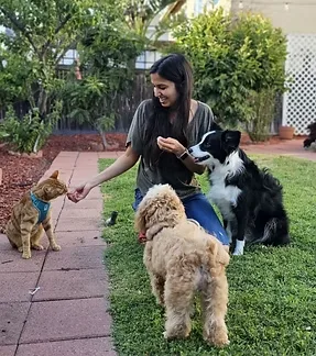 Sonia's PAWsitive Dog Training — dog training in Rancho Cucamonga, CA (4)