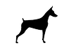 top of pageSkip to Main ContentK9 Master TrainingDog Training & Behavior ModificationHomeMeet the TrainerServicesTestimonialsBlogContact usMoreUse tab to navigate through the menu items.training for you & your dogK9 Master Dog Training is based in the San Francisco Bay Area. Whether it's puppy training, advanced obedience or behavior modification, we're here to help.
Our theory is simple, we don't just have one method of training. We understand that every dog is different and will require a different method. What works for one dog may not work for all, and at K9 Master Training we know that. We help find a training plan that will work for you and your dog to help them succeed.
We offer in home training sessions where we come to you, and help address unwanted behavioral issues. At K9 Master Training, not only do we train your dog, but we teach you how to be the master in your home and help you to learn every step of the way. We offer ongoing lifetime support for all of our clients.
K9 Master Dog Training voted top best dog trainers in San Mateo 2020: Free Phone Consultations: 415-678-0382 ● bottom of page