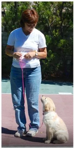 Skip to main content

					Skip to footer
			Home
About
Training
Training Methods
Boarding
Training Programs
Training Request Form
Resources
Service Areas
Gallery
Contact
			
				
				
				
			
			Home
About
Training
Training Methods
Boarding
Training Programs
Training Request Form
Resources
Service Areas
Gallery
Contact
Home
About
Training
Training Methods
Boarding
Training Programs
Training Request Form
Resources
Service Areas
Gallery
Contact
Leading Dog Trainer Are you searching for a qualified dog trainer? Look no further than Evelyne at Lucky K9s, where every canine’s journey begins with understanding and connection. With extensive experience in canine psychology, Evelyne crafts customized training programs that cater specifically to the unique needs of you and your furry companion.
Personalized Training ProgramsEvelyne’s deep understanding of dog behavior enables her to create tailored training solutions. Whether you’re dealing with basic obedience or complex behavioral issues, Evelyne employs a balanced training approach that emphasizes praise, love, structure, and clear communication. This ensures your dog thrives in a nurturing environment while developing essential skills.
A Lifelong Passion for CaninesEvelyne’s affinity with animals began early in her life. At just 12 years old, she trained her first dog, uncovering a profound passion for dog training long before formal education took her down this path. In 2008, she took a leap of faith and transitioned to a full-time dog trainer, committed to fostering positive behaviors and relationships between dogs and their owners.
Contact UsHands-On ExperienceAt Lucky K9s, Evelyne isn’t just an instructor; she’s a devoted trainer who engages daily with multiple dog packs. By supervising and training these vibrant groups, she reinforces balanced social behavior, helping each dog gain confidence and security. Her hands-on approach ensures that every dog receives the attention and care they deserve.
Commitment to Rescue and RehabilitationBeyond her work at Lucky K9s, Evelyne dedicates herself to animal rescue efforts, particularly with German Shepherds. As a devoted puppy foster, she rehabilitates shelter mothers and their litters, preparing them for loving forever homes. This nurturing approach extends to every facet of her training methods.
Establishing a Healthy RelationshipWe aim to lay a positive foundation for your relationship with your dog. A well-trained dog is not only confident but also earns greater freedom than its untrained counterparts. Let Evelyne guide you and your dog on the journey to a harmonious partnership.