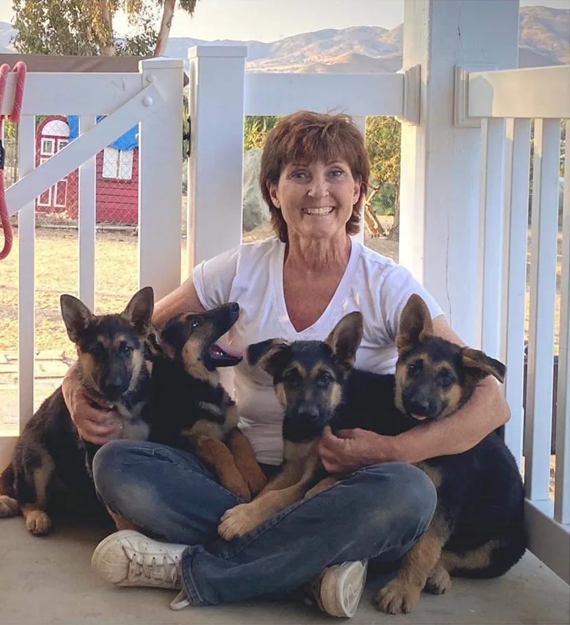A woman smiles while cuddling four playful German Shepherd puppies on a porch