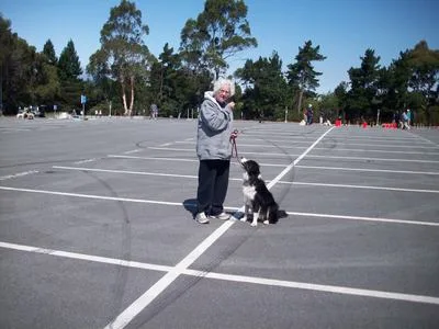 Our History

San Bruno Dog Obedience School (SBDOS), a non-profit 501c7 founded by Mal Lightfoot, has been offering classes in all levels of obedience training to the community for over 45 years. Mal believed that, for dogs, "untrained is unloved". The trainers at San Bruno Dog Obedience School have more than 40 years of experience training pet, competition and therapy dogs, and love what they do!  Families from all over the Bay Area have brought generations of their family dogs to SBDOS. ​ Our commitment is to help people achieve a rewarding relationship with their dog and develop a well-mannered companion, whether it be a first-time family pet or an obedience champion. We want to help you strengthen your partnership.