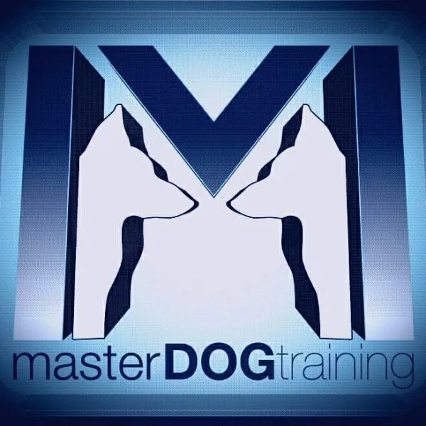 MASTER DOG TRAINING