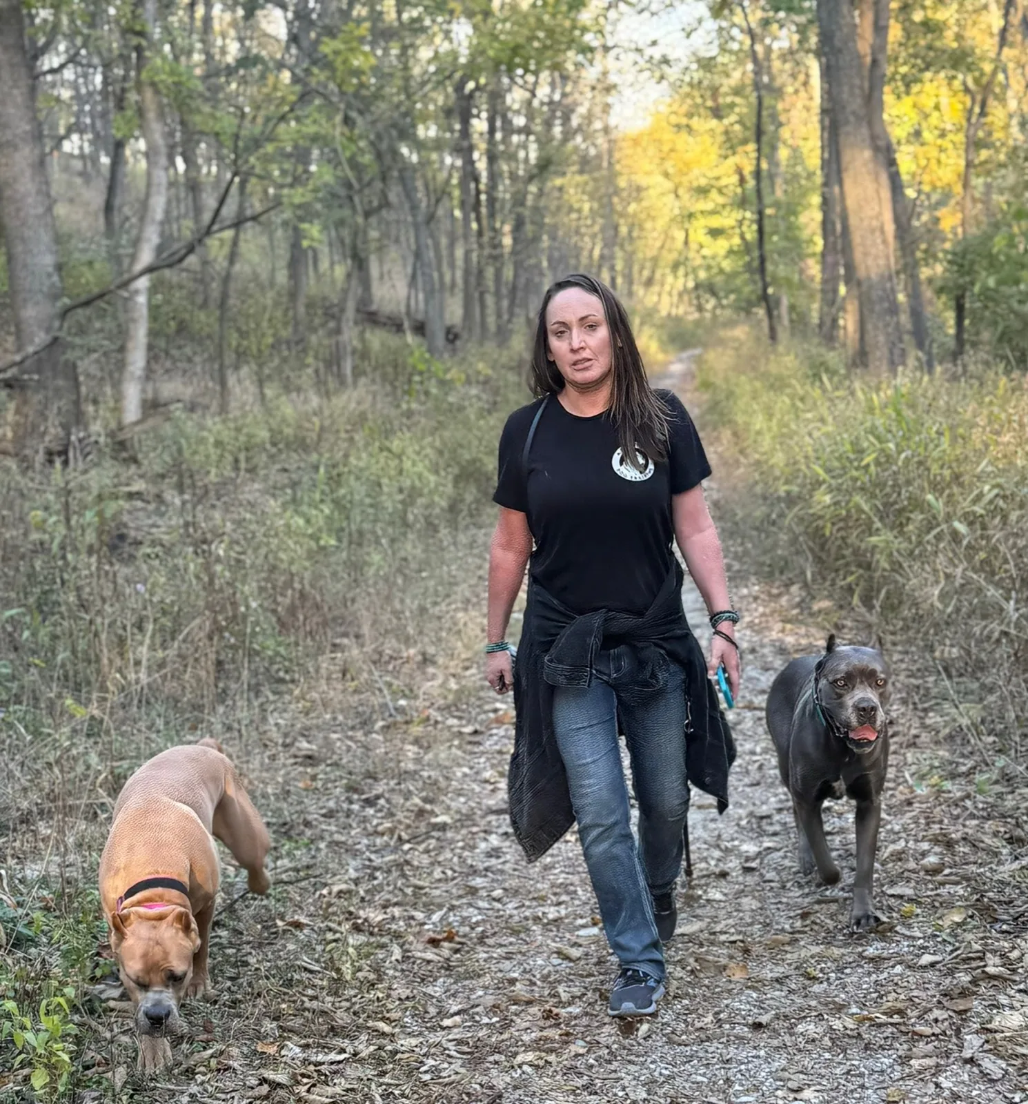 A trainer walking two dogs calmly on a loose leash down a tree-lined path