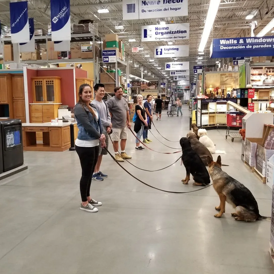A woman and two dogs in a store.