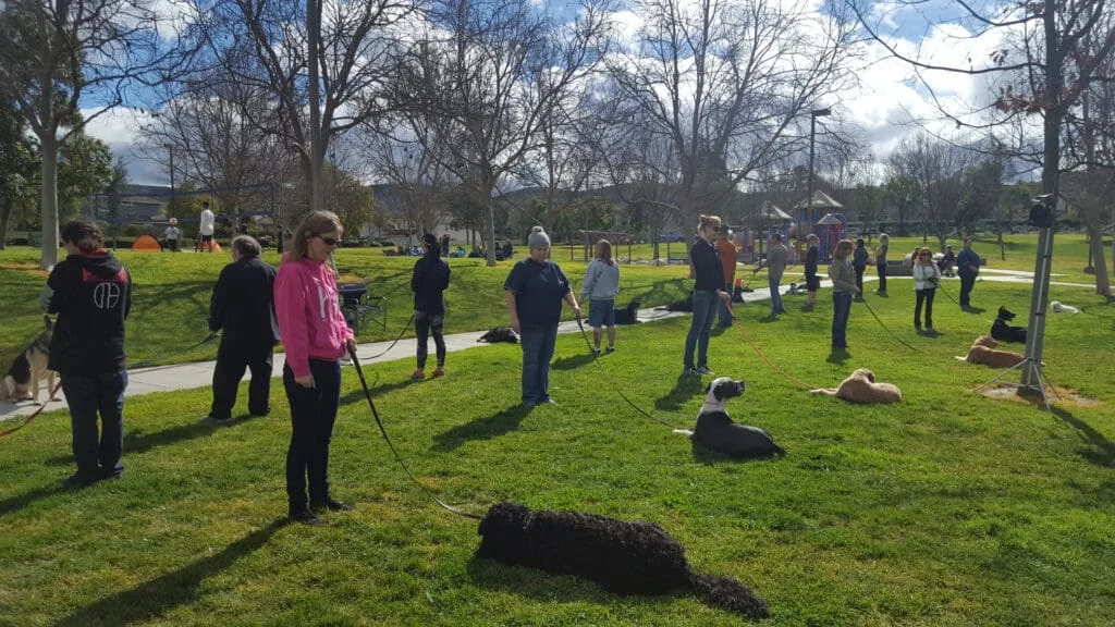 A group of people in the grass with dogs.