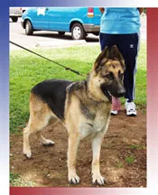 Training People To Train Their Dogs! 
    
    
  Serving The Greater Sacramento Area 
  
  (916) 317-0457 or (916) 560-8611