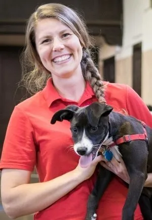 BravoPup Social — dog training in Oakland, CA (3)