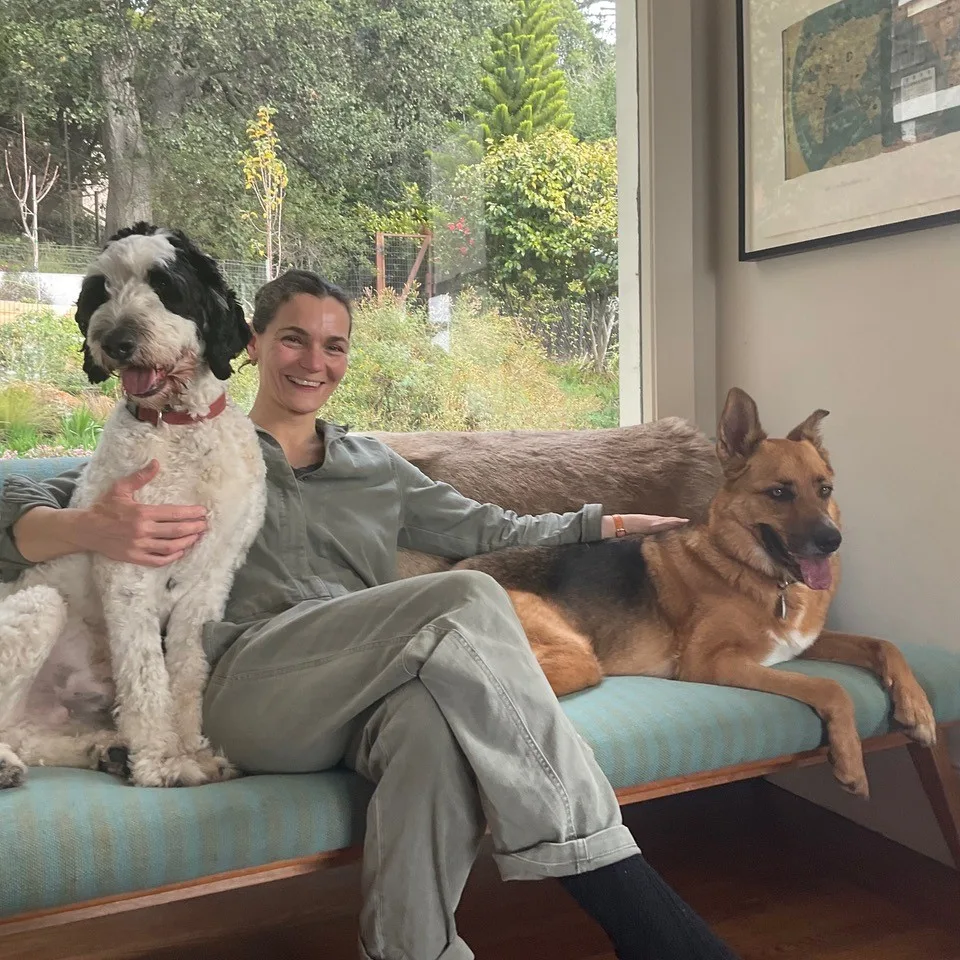 BravoPup Social — dog training in Oakland, CA (4)
