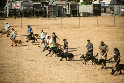 Play Pause  


Telephone

YOU DO NOT NEED TO CALL OR CONTACT US BEFORE YOU COME!  You can just show up any Saturday. Bring the items listed under "what to bring." You can also come any Saturday and watch the class if you would like to.Call or Text Jim Erickson with questions about class or private lessons for protection work, reactive dogs or civilian K9'sJim Erickson: 951-218-4727



Contact us