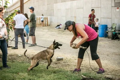 Play Pause  


Telephone

YOU DO NOT NEED TO CALL OR CONTACT US BEFORE YOU COME!  You can just show up any Saturday. Bring the items listed under "what to bring." You can also come any Saturday and watch the class if you would like to.Call or Text Jim Erickson with questions about class or private lessons for protection work, reactive dogs or civilian K9'sJim Erickson: 951-218-4727



Contact us
