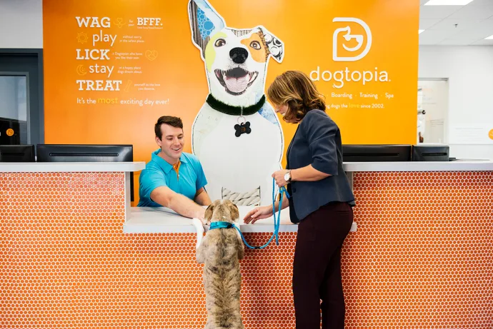 Doggy Checks In