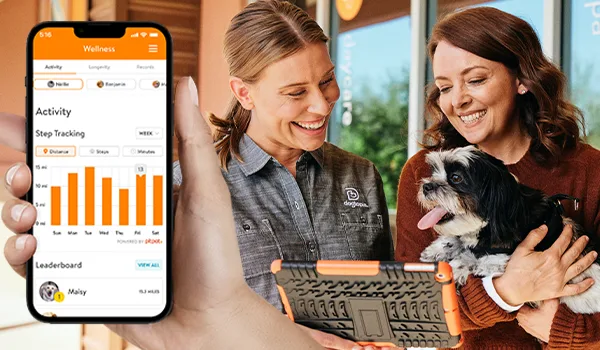 PlaySmarterNow offering a smarter daycare experience with DASH. As the only daycare with an activity monitor, you can be sure they are getting the exercise they need for a longer, healthier life.learn more					Play safe!
We chase the absolute highest standards of safety in everything we do! Our goal is to make sure all pups in our care are happy, safe, and comfortable.
read dogtopia’s dogmaFind your Nearest Location
As North America’s fastest-growing dog daycare franchise, Dogtopia has many locations ready to serve you and your pup. Get more information on the one closest to you.
find a locationFREQUENTLY ASKED QUESTIONs
We realize that your dog is a furry member of your family, and they deserve the highest level of care. That’s why we offer expert advice and tips on a wide range of topics related to dog behavior, health, safety, and more!
advice from our dog experts