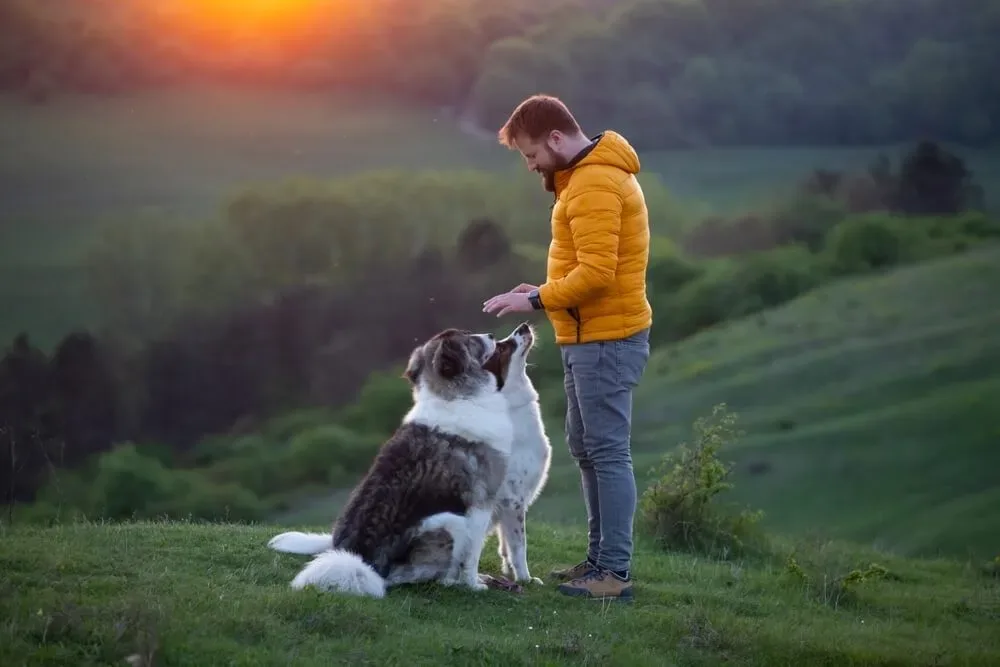 Person standing with a dog in a grassy field