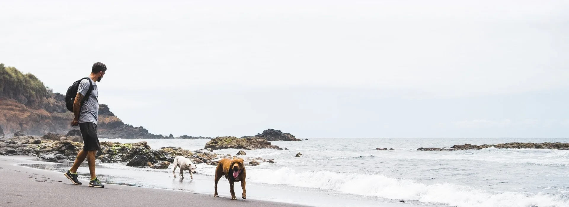 Man walking two dogs on the beach.