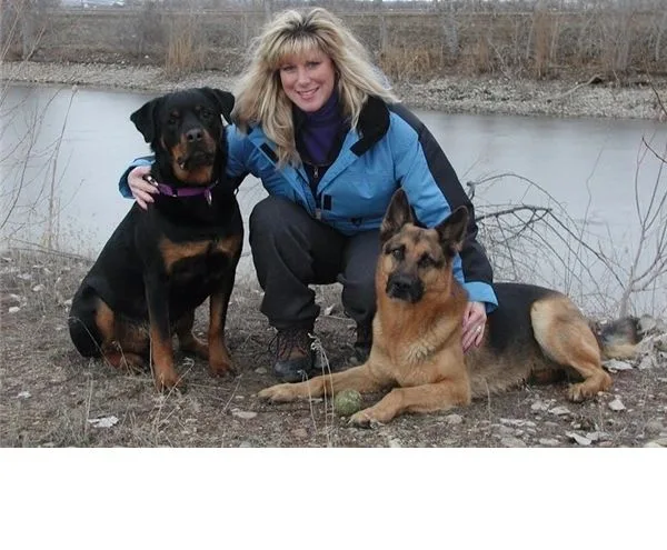A scenic view of mountains with a clear blue sky and green trees in the foreground.