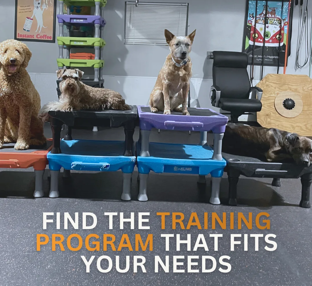 Paw Partner
Current clients can login to Paw Partner to schedule boarding, daycare, or grooming services. New clients will receive an invitation after their temperament test. 
 










	
		

			
			
			

		

		
			





TRaining
We are happy to help get your pack on the right track! Whatever behavior problems you may be experiencing with your dog, it is important to know that with our help, these problems can be corrected. Our trainers have decades of training experience from getting a new puppy started in the right direction to major aggression cases. We want you to have the best dog in the world for you, we personalize everything to you and your own situations.

    Learn More
  






	
								
									
					
								

	







		

		

	
	
		

			
			
			
	
	

		

		
			





	
								
									
					
								

	





Boarding and Daycare
We Talk Dog offers the alternative to traditional boarding.  We go beyond fulfilling a dog’s basic needs and incorporate the benefits of daycare with spacious suites for eating and sleeping.  WTD is staffed 24/7 to provide round the clock care to your dog. Dogs that stay overnight boarding are automatically enrolled in daycare during their stay. Our daycare program includes spacious indoor/outdoor, supervised group play areas featuring our K-9 turf, toys, wading pools, and of course, We Talk Dog handlers.

    Boarding
  



    Daycare
  








		

		

	
	
		

			
			
			
	
	

		

		
			





Boarding and Daycare
We Talk Dog offers the alternative to traditional boarding.  We go beyond fulfilling a dog’s basic needs and incorporate the benefits of daycare with spacious suites for eating and sleeping.  Dogs that stay overnight boarding are automatically enrolled in daycare during their stay. Our daycare program includes spacious indoor/outdoor, supervised group play areas featuring our K-9 turf, toys, wading pools, and of course, We Talk Dog handlers.

    Learn More
  






	
								
									
					
								

	







		

		

	
	
		

			
			
			
	
	

		

		
			





Grooming


We Talk Dog’s full service grooming salon offers a wide range of services for your dog. From bathing and grooming, nail trimming to ear and teeth cleaning, our grooming department is fully equipped to handle all of your dog’s grooming needs. Grooming services are scheduled or can be added to daycare and boarding services.
 



    Learn More
  






	
								
									
					
								

	







		

		

	
	
		

			
			
			

		

		
			





	
								
									
					
								

	





	
								
									
					
								

	





Our clients
Thank you to all of our clients that have supported us throughout the years! 

    The talk about WTD